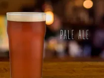 Comprar Kit De Insumos Pale Ale Cerveza Artesanal Casera 10 Litros