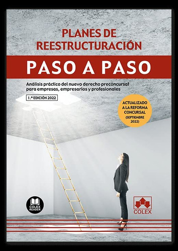 Planes De Reestructuración. Paso A Paso