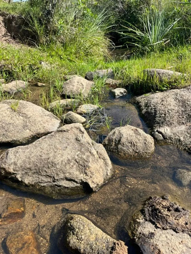 Campo En Paso De La Cantera