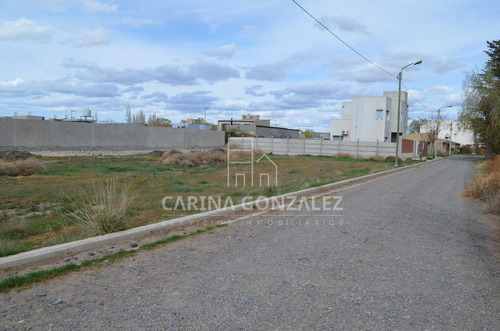 Imagen 11 de 16 de Venta Terreno 996m2 Apto Desarrollo Confluencia Rural Neuquén