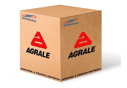 Chave Principal Agrale 6011011031003