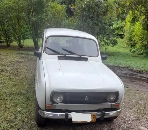 Renault R4 1.0 Gtl Master