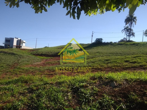Imagem 3 de 3 de Terreno No Ninho Verde 2, Vista Linda No Asfalto