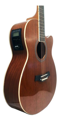 Imagen 3 de 10 de Guitarra Electroacústica Cuerdas De Acero Micrófono Funda