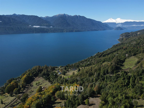 Parcela 5000 M2 Lago Riñihue Ribera Sur. Región Los Ríos