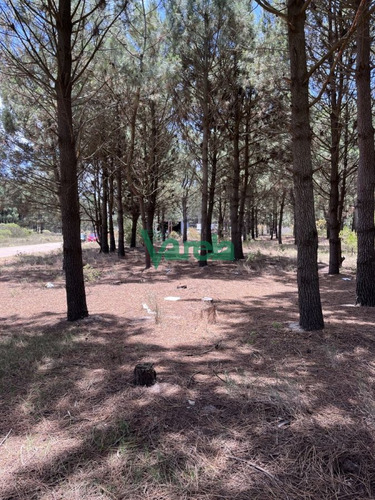 Imagen 1 de 10 de Terrenos Financiados En Nilo Park , Lomas De Solymar