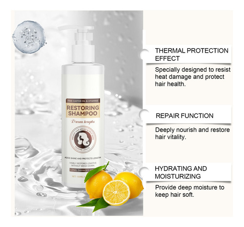 Shampoo Reparador De Proteção Térmica Dry Frizzy Smoothed Sh