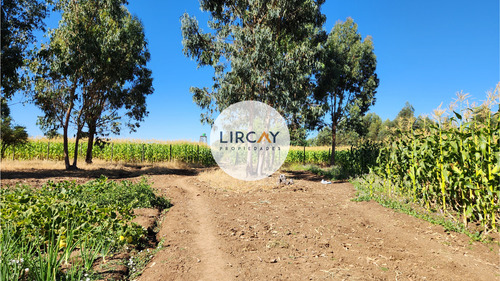 En Venta Terreno De 7 Hectáreas, Talca, Panguilemu.