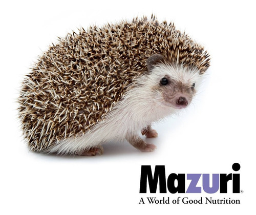 Imagen 4 de 9 de Alimento Mazuri Para Erizos 100% Original (11.3 Kg)