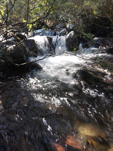 Se Venden Lotes Desde 5000mts2,yungay (68483)