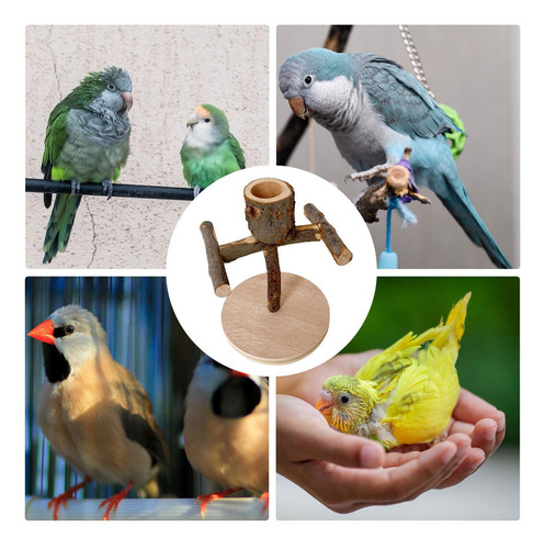 Zona De Juegos Para Pájaros Para Loros Soporte Para Percha P