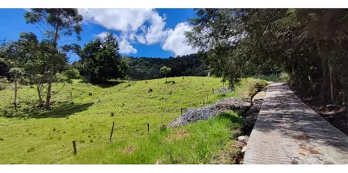 Lote En Vender En Rionegro