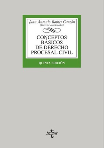 Conceptos Básicos De Derecho Procesal Civil / Basics Concept