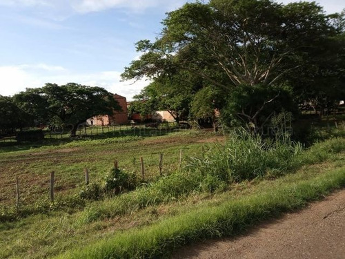 Imagen 6 de 14 de Finca En Venta 23-20387 Daisbelis Tarazona 0424-2925931