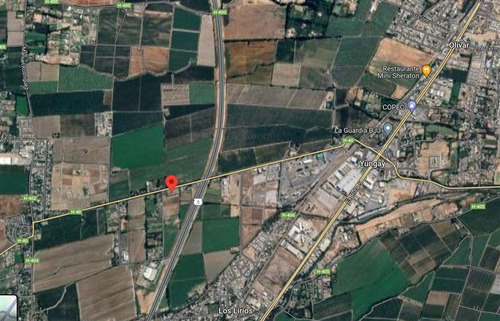 Bodega Industrial 6.000 M2 En Venta En Olivar