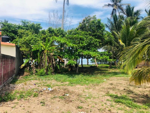 Imagen 5 de 10 de Terreno En Venta Anton Lizardo Mata De Uva