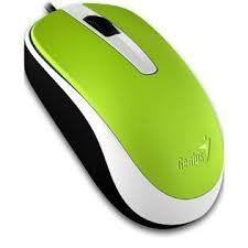 Mouse Genius Dx-120 Usb Verde/blanco