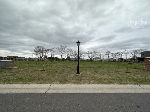 Lote Perimetral #200-300 - Pilar Del Este - Santa Lucia - 567m2 #id 17877