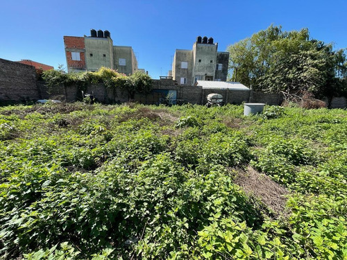 Imagen 5 de 8 de Alquiler Lote Baldio 1562m2