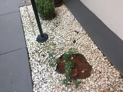Imagem 5 de 27 de Casa À Venda Em Parque Villa Flores - Ca003323