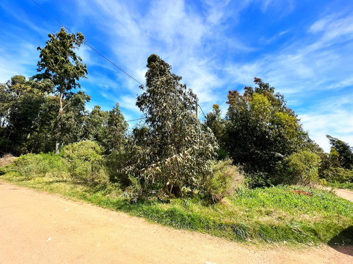 Imagen 3 de 13 de Terreno Esquina Venta Costa Azul Canelones