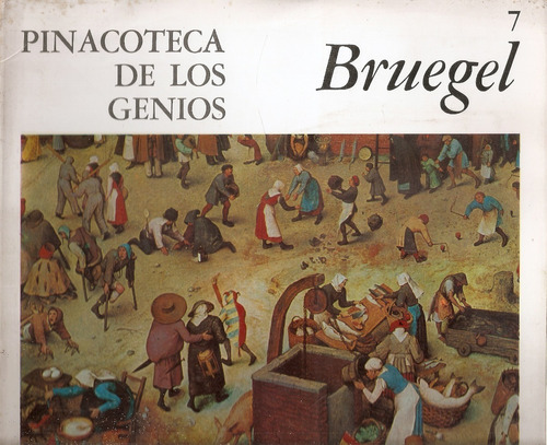 Pinacoteca De Los Genios Nº 7 Bruegel - Codex