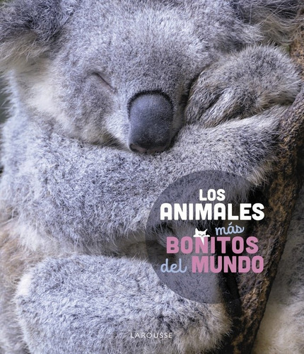 Los Animales Mas Bonitos Del Mundo, De Ledu, Stephanie. Editorial Larousse, Tapa Dura En Español