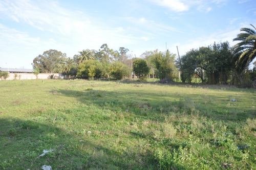 Imagen 11 de 14 de Depósito Y Terreno 10.000m2. Ingreso P/ Avenida Y Calle Lat.