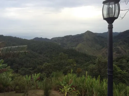 Finca En Venta En Felidia - Las Nieves. Cod V5401