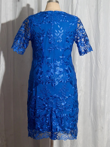 Vestido Plus Size Festas Casamentos Elegante Renda Dalicis
