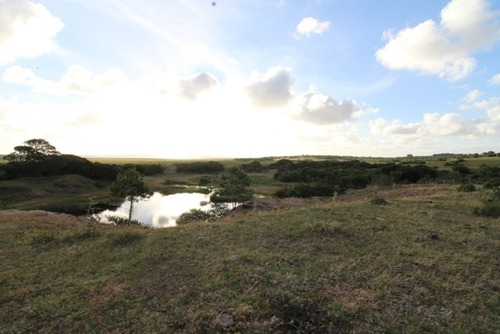Quinta En Venta En Jose Ignacio