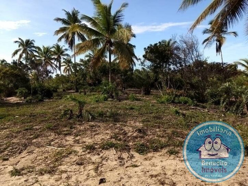 Imagem 3 de 15 de Lotes Na Praia A Partir De R$160.000,00 - 1887