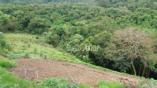 Imagem 1 de 22 de Área À Venda, 44724 M² Por R$ 3.800.000 - Parque Varanguera - São Roque/sp - Ar0047