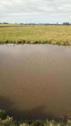 Chacra De 7 Has 2135 M2 Puntas De José Ignacio