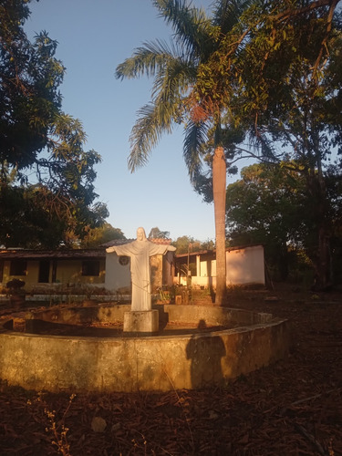 Sitio, Sendo Casa Com 3 Quartos,uma Suite,um Banheiro Social