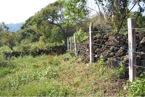 Venta De Terreno En Amatlán, Tepoztlán