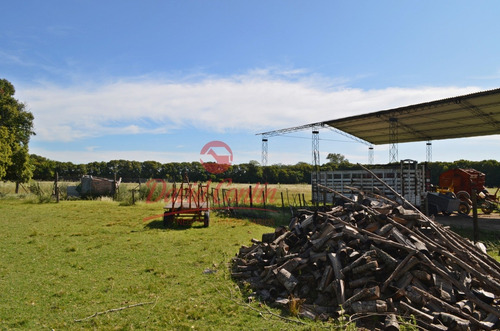 Imagen 6 de 30 de Hermoso E Ideal Campo En Venta