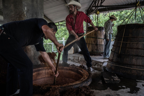 Mezcal Mencova Corazón Cupreata