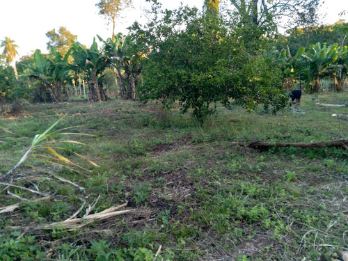 Quinta Una Hectarea