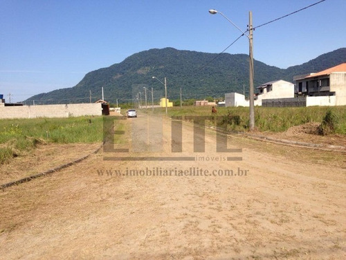 Imagem 11 de 16 de Terreno - Te00048 - 69553068