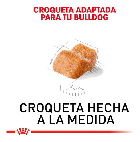 Imagen 3 de 4 de Alimento Para Perro Royal Canin Bulldog Puppy 13.6 Kg