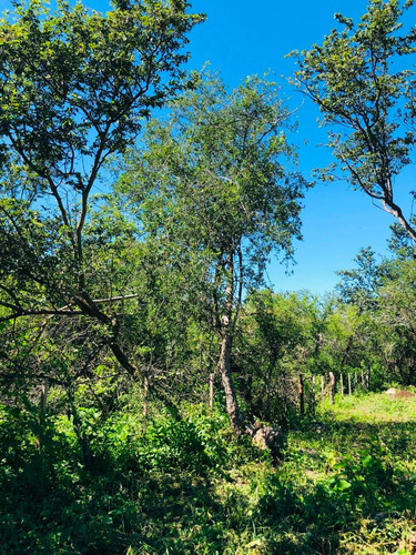 Imagen 4 de 14 de Lote De 2028 M2 Ubicado En Las Chacras - Villa De Las Rosas