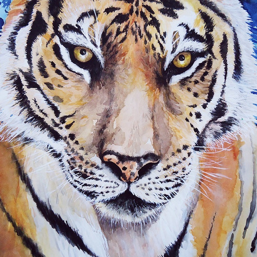 Imagem 3 de 4 de Pintura Em Aquarela Tigre / Tigresa