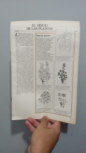 4 Fasciculos Revista Dibujo Y Diseño: Rostro Manos Plantas.. (Usado)