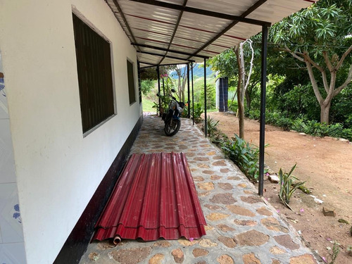 Imagen 9 de 30 de Agua De Dios - Finca De Produccion En Venta