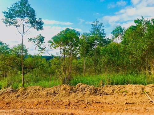 Imagem 5 de 29 de 06-terreno A Venda Com 1000m No Interior !!!