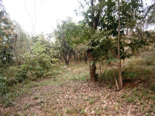 Imagen 4 de 23 de Venta Terreno Xochitepec Morelos Valle Dorado