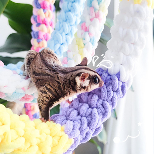 Hámster Trepando Cuerda Perchas De Pájaros Accesorios Azul