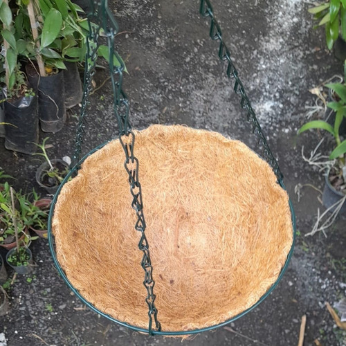 Vaso De Coco Suspenso Redondo Vertical Orquídea Ornamentais