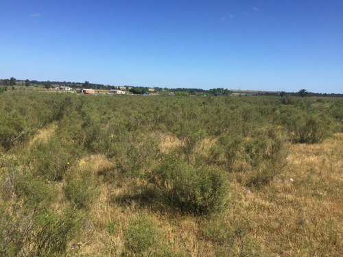 Vende Chacra En Excelente Punto Sobre Camino A 1 Km De Ruta